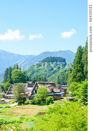Aikura Gassho-zukuri village in early summer 66430581