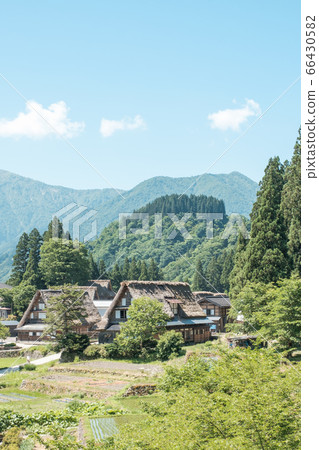 Aikura Gassho-zukuri village in early summer 66430582