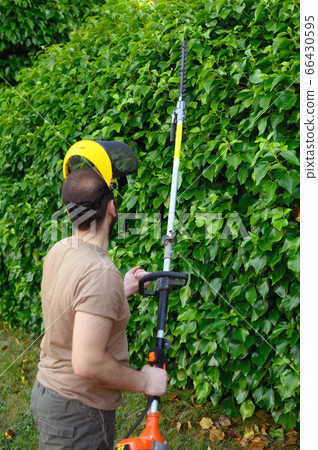 Gardener trimming hedgerow in a garden park outdoor 66430595