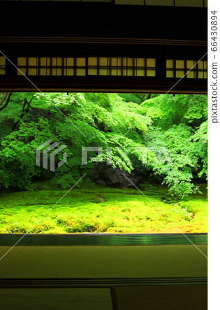 京都市左京區Rurikoin的風景，新鮮的綠化/日本花園[6月] 66430894