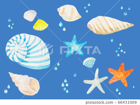 Summer hand drawn illustrations-sea creatures 66431009