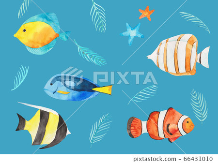 夏天手繪插畫熱帶魚 夏天手繪插畫熱帶魚 66431010