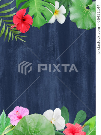 水彩背景與熱帶植物 66431144