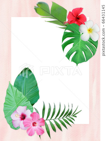 水彩背景與熱帶植物 水彩背景與熱帶植物 66431145
