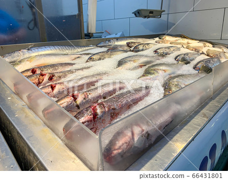 Frozen big fishes for sale at the seafood market Frozen big fishes for sale at the seafood market 66431801