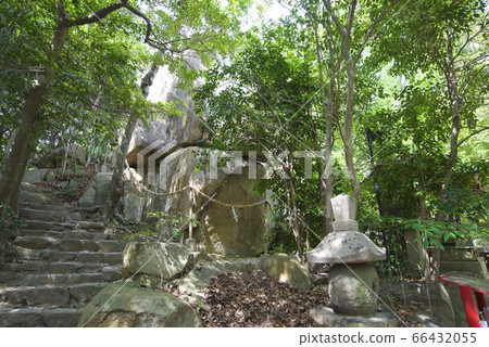 兵庫縣西宮市越光神社的越光 66432055