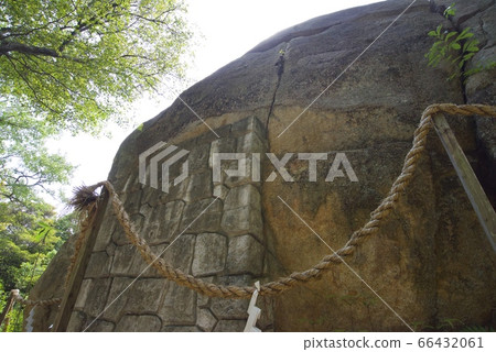兵庫縣西宮市越光神社的越光 66432061