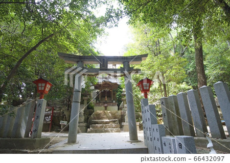 Koshikiiwa Shrine in Nishinomiya City, Hyogo Prefecture 66432097