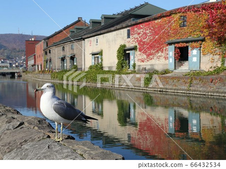  Otaru Canal 66432534
