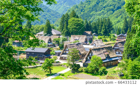 Aikura Gassho-zukuri village in early summer 66433112