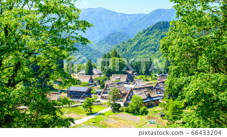 Aikura Gassho-zukuri village in early summer 66433204