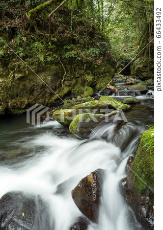 Clear current flowing through the forest 66433492