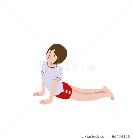 Gymnastics yoga cobra pose girl illustration 66434336
