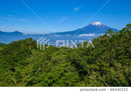 View of Mount Fuji from the peak of Mt.Kintoki 66436332