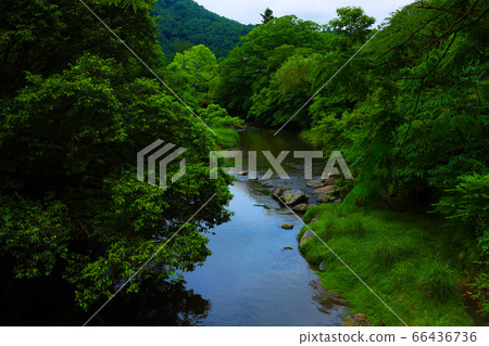 高野河京都市左京區亞瀨風光[6月] 66436736