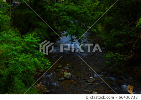 高野河京都市左京區亞瀨風光[6月] 66436738