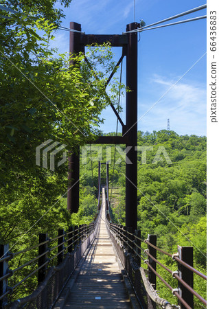 星野花園裡的星星搖擺 66436883