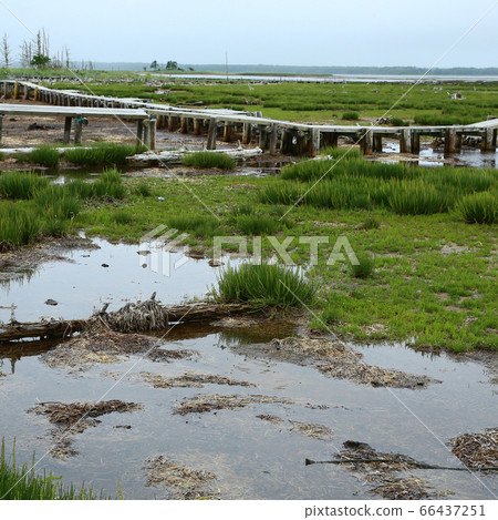 Hokkaido Noden peninsula Todoara 66437251