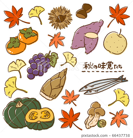 The taste of autumn! Delicious food 66437738