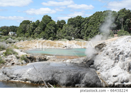 Geyser of Rotorua, New Zealand 66438224