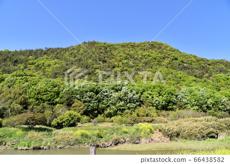 岡山縣岡山市東區新莊山城和初夏的藍天 66438582