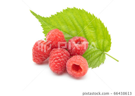 Raspberry with leaf isolated on white background Raspberry with leaf isolated on white background 66438613