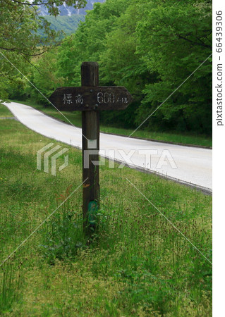 Wooden elevation sign [600m] 66439306