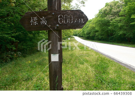 木質海拔展示板[600 m] 66439308