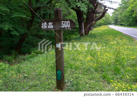 木製升降板[500m] 66439314