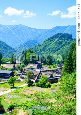 初夏愛倉合掌祖里村 66439341