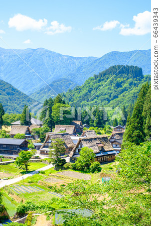 初夏愛倉合掌祖里村 初夏愛倉合掌祖里村 66439343