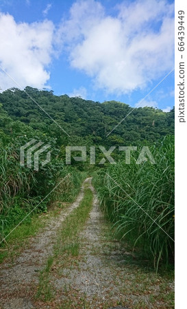 Mountain Okinawa Expressway Blue Sky Sky Genka River Mountain Okinawa Expressway Blue Sky Sky Genka River 66439449