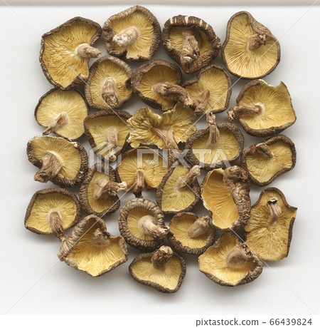 後面的干香菇 後面的干香菇 66439824