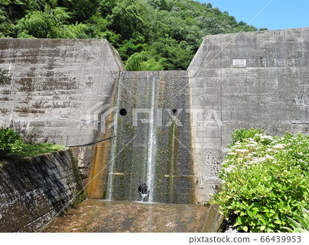Sabo dam that looks like a koala face Sabo dam that looks like a koala face 66439953