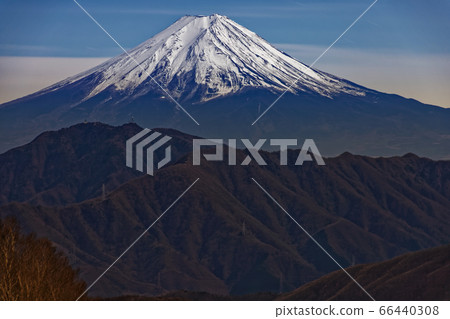 從南大松和大倉丸看到的月光下的富士 66440308