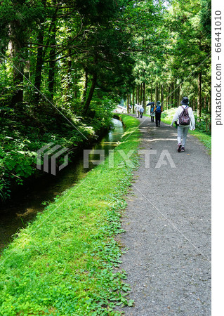 Tohoku Akita Prefecture Chokai Yamamoto Takifuse Ryusui 66441010
