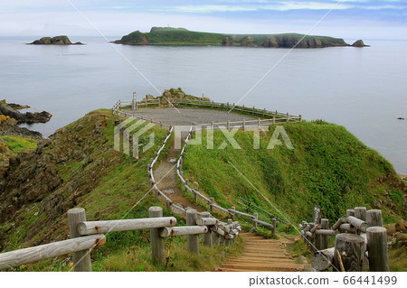 北海道禮文島 66441499