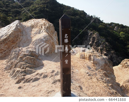 在六甲山騎馬場拍攝 66441888