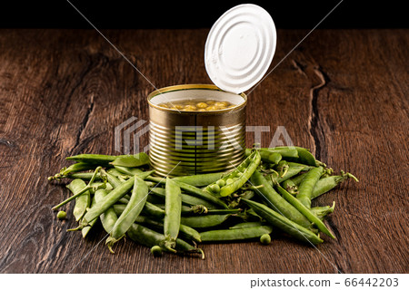 Ripe peas in pods and an open can of canned peas. Ripe peas in pods and an open can of canned peas. 66442203