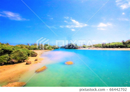 Okinawa Okinawa 66442702