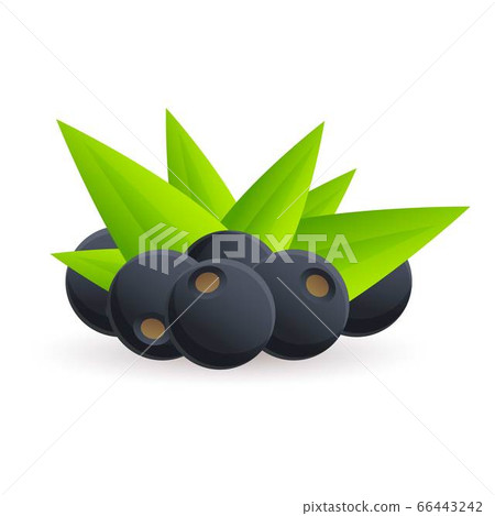 Acai berry icon, cartoon style 66443242
