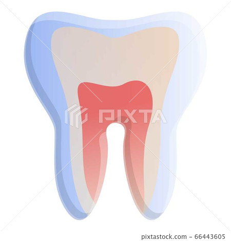 Tooth pulp icon, cartoon style Tooth pulp icon, cartoon style 66443605