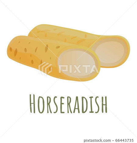 Horseradish root icon, cartoon style 66443735
