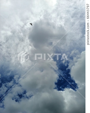 Dramatic blue sky background, thundery sky landscape scene. Colorful cloudy sky view in bright tones. Dramatic sky background, cloudy sky landscape, sunny sky view. 66443797