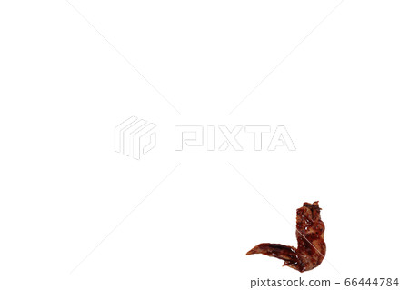 Yakitori chicken wings image Yakitori chicken wings image 66444784