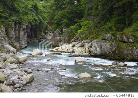 Tetori Gorge (Hakusan City, Ishikawa Prefecture) Tetori Gorge (Hakusan City, Ishikawa Prefecture) 66444912