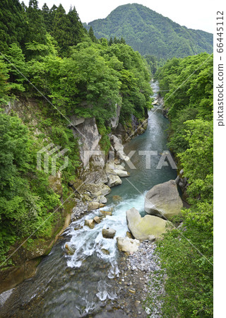 Tetori峽谷Furokyo橋的景色（石川縣白山市） 66445112