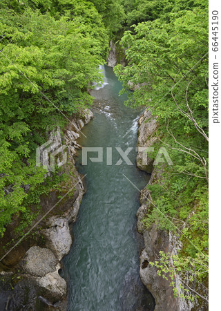 Tetori峽谷Komonbashi的景色(石川縣白山市) Tetori峽谷Komonbashi的景色(石川縣白山市) 66445190