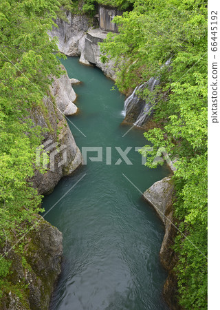 Tetori峽谷Komonbashi的景色（石川縣白山市） 66445192
