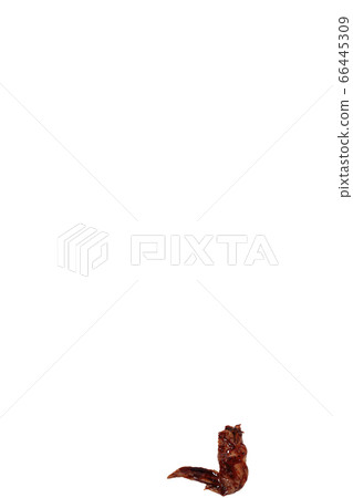 Yakitori chicken wings image Yakitori chicken wings image 66445309